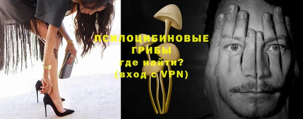 2c-b Новозыбков