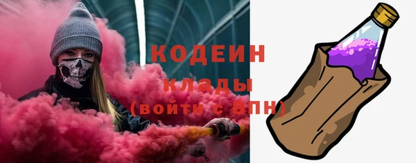 2c-b Новозыбков