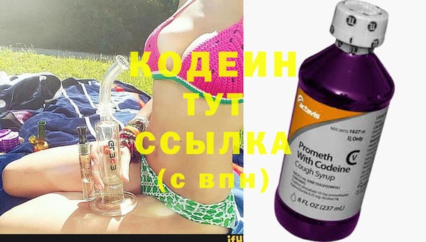 2c-b Новозыбков