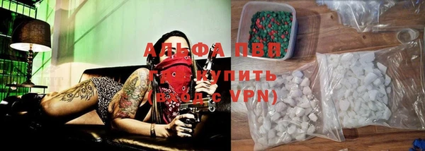 2c-b Новозыбков