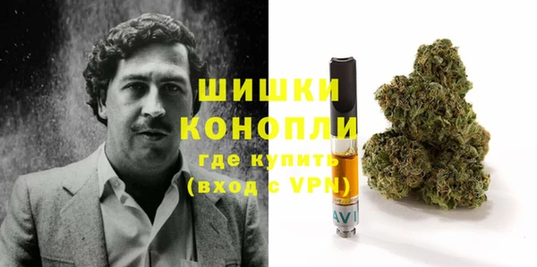 2c-b Новозыбков